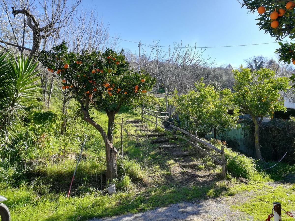 La Casa di Rosy Villa Vico Equense Esterno foto